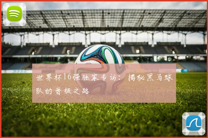 世界杯16强独家专访:揭秘黑马球队的晋级之路