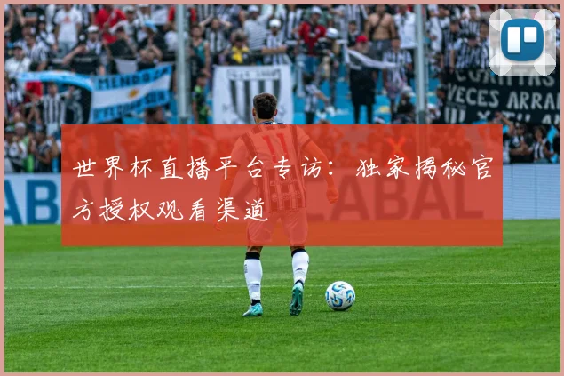世界杯直播平台专访：独家揭秘官方授权观看渠道