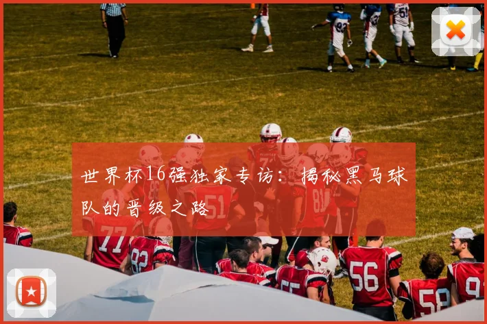 世界杯16强独家专访：揭秘黑马球队的晋级之路