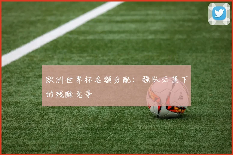 欧洲世界杯名额分配：强队云集下的残酷竞争