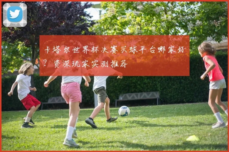卡塔尔世界杯决赛买球平台哪家好？资深玩家实测推荐